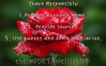 A red rose. A symbol of love.