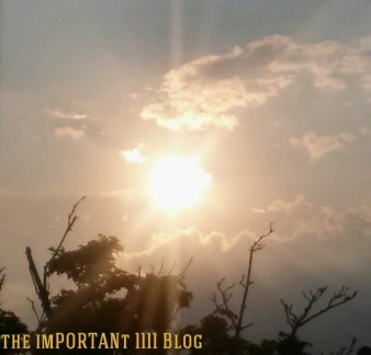 Photo Credit: Melissa Portan